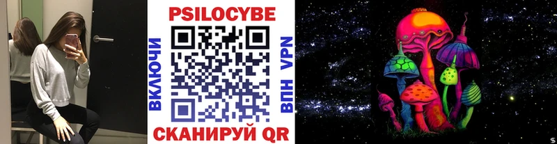 магазин  наркотиков  Волгоград  Галлюциногенные грибы мухоморы 